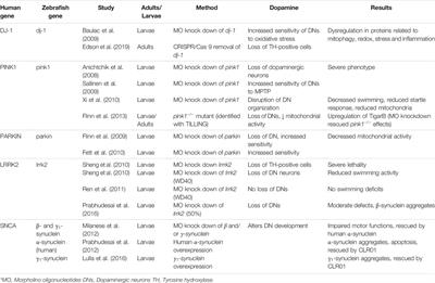 A Critical Review of Zebrafish Models of Parkinson’s Disease